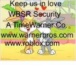 Warner Bros. Studios ROBLOX Security