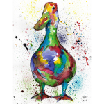 Rainbow Ducks!