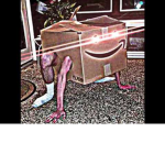 amazon bois