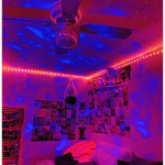 V i b e H o u s e