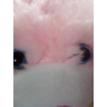 -*cutecore club!*-