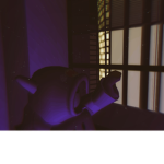 Romions2