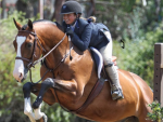Oak Acadamy