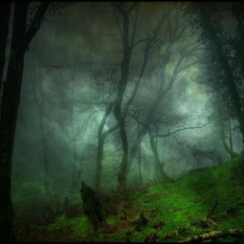 [WARNING❌] Lost In Deserted Forest 😱