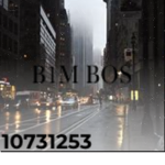 ୨ B1M BOS ୧