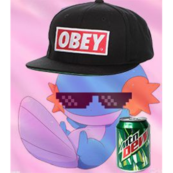 obby test