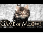 game of meows