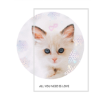 Kitten's world Kitty!