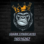 ﾒDark Syndicateﾒ