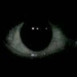In the dark full release