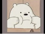 VIP bears