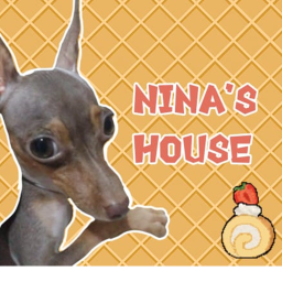 Nina's house