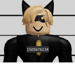 Miraculous_Catnoir
