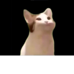 pop cat gamersYT