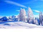 Snowy team