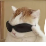 SodaDev