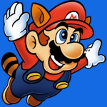 Have Fun With The Mario Bros!