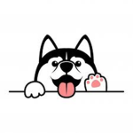 HuskyFunPAGE