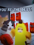 Dancing Kitty's