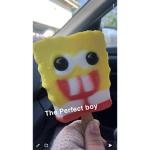 The SpongeBobers