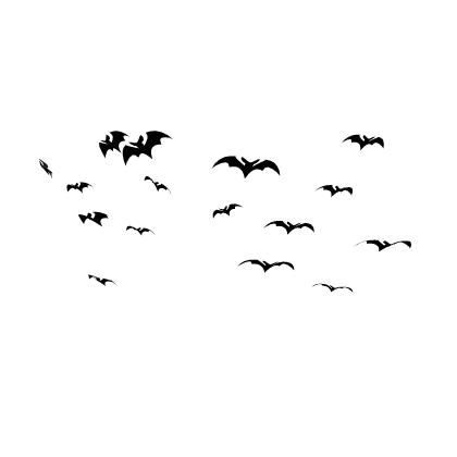 Bats