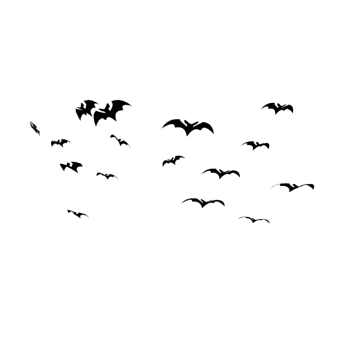Bats