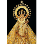 (VC) Marian devotees Group Thumbnail