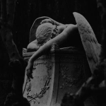 ｗａｎｄｅｒｉｎｇ ｄｒｅａｍｓ．