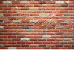 The Wall Games