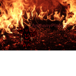 Antheny The Ant