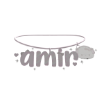 amir