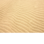 Sand eaters.