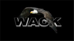 Weaponized Assault Clan of Killing