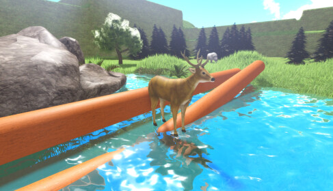 Wilderness Deer Survival