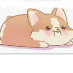 The Unicorn Corgi Squad