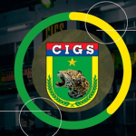 CIGS II INSTRUÇÕES SE GUERRA NA SELVA