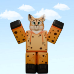 Cheetah Nation