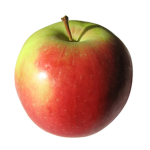 appleGarmy