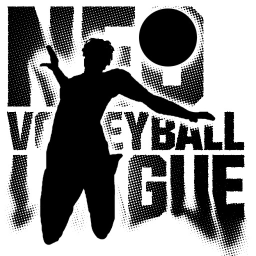 NEO VOLLEYBALL LEAGUE 🏐🌇 icon