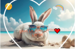 Team lapins lapine