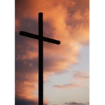 Life's Church of Christ