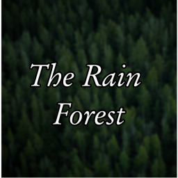 The Rain Forest (UPD)