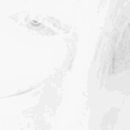 ʚ ɞ
