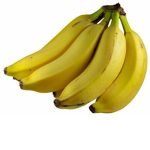 Monkey Coliney