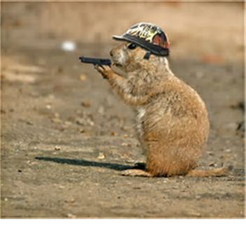 🔪Kill (send maps!)(under dev)🔫