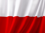 Polish Border RP