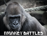 Gorilla and monkey battles