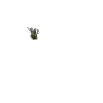 👑 Tall Grass Cave Nature Free Roblox Model Hd