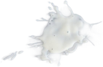 Betlog