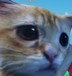 쫀득